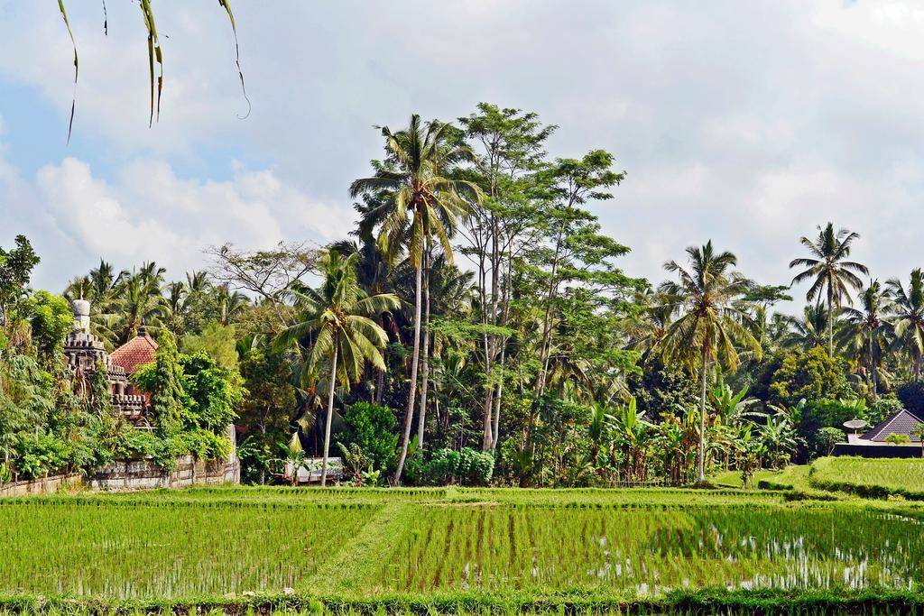 Ubud Kartini Hostel Kültér fotó