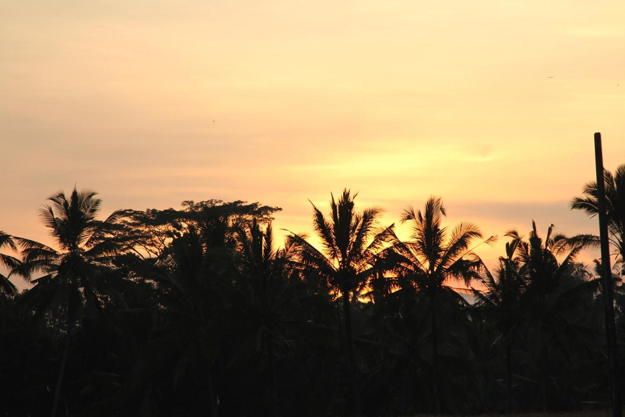 Ubud Kartini Hostel Kültér fotó