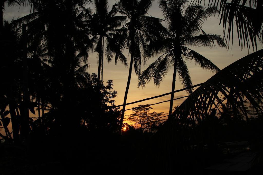 Ubud Kartini Hostel Kültér fotó